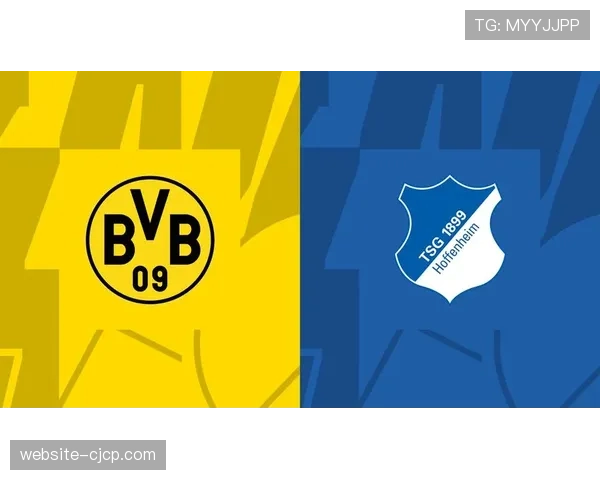 聚勒对阵霍芬海姆时再次受伤可能已踢完多特蒙德生涯最后一战